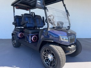 Blue Evolution D5 Ranger Lithium Golf Cart lsv2